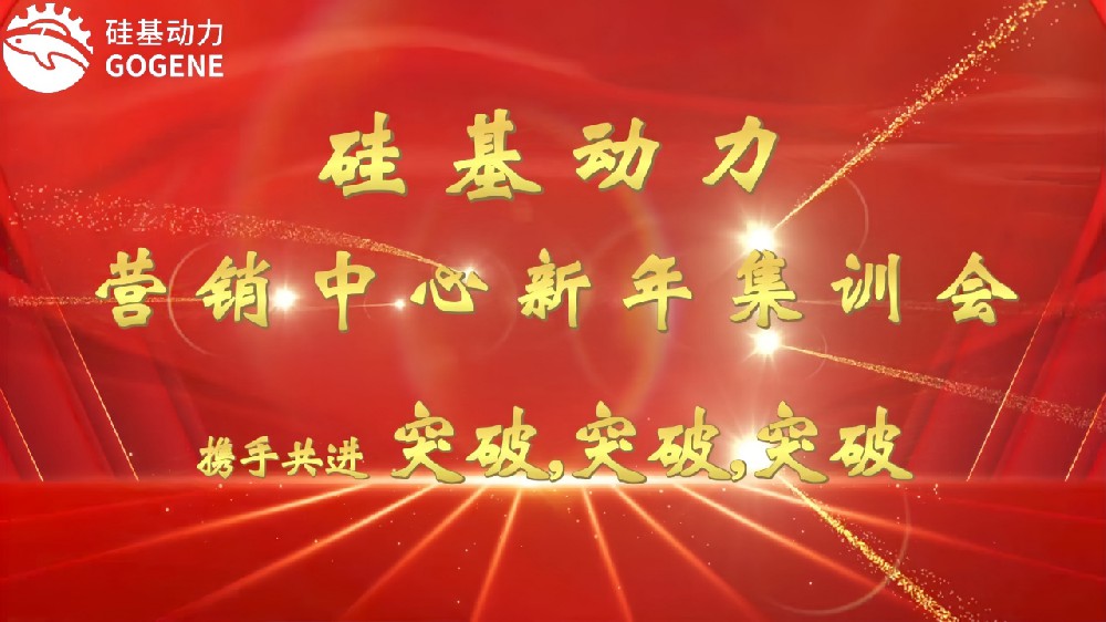 硅基动力营销中心新年集训会：凝聚力量，再创辉煌